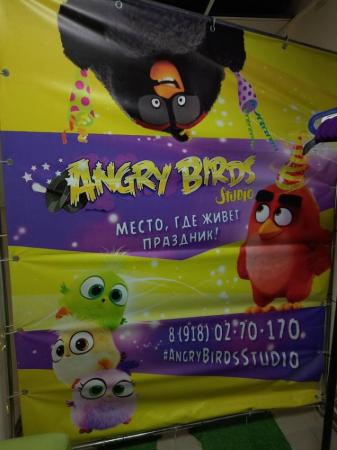 Фотография Angry Birds Studio 0