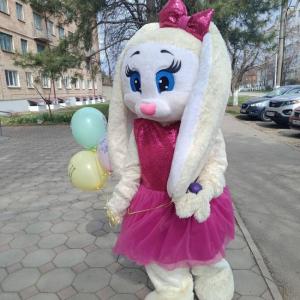 Фотография Подсолнух 1