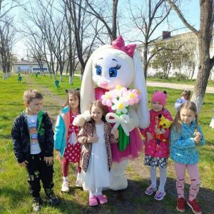 Фотография Подсолнух 0