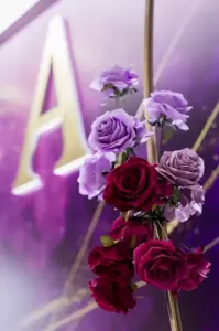 Фотография Gorlica decor 5